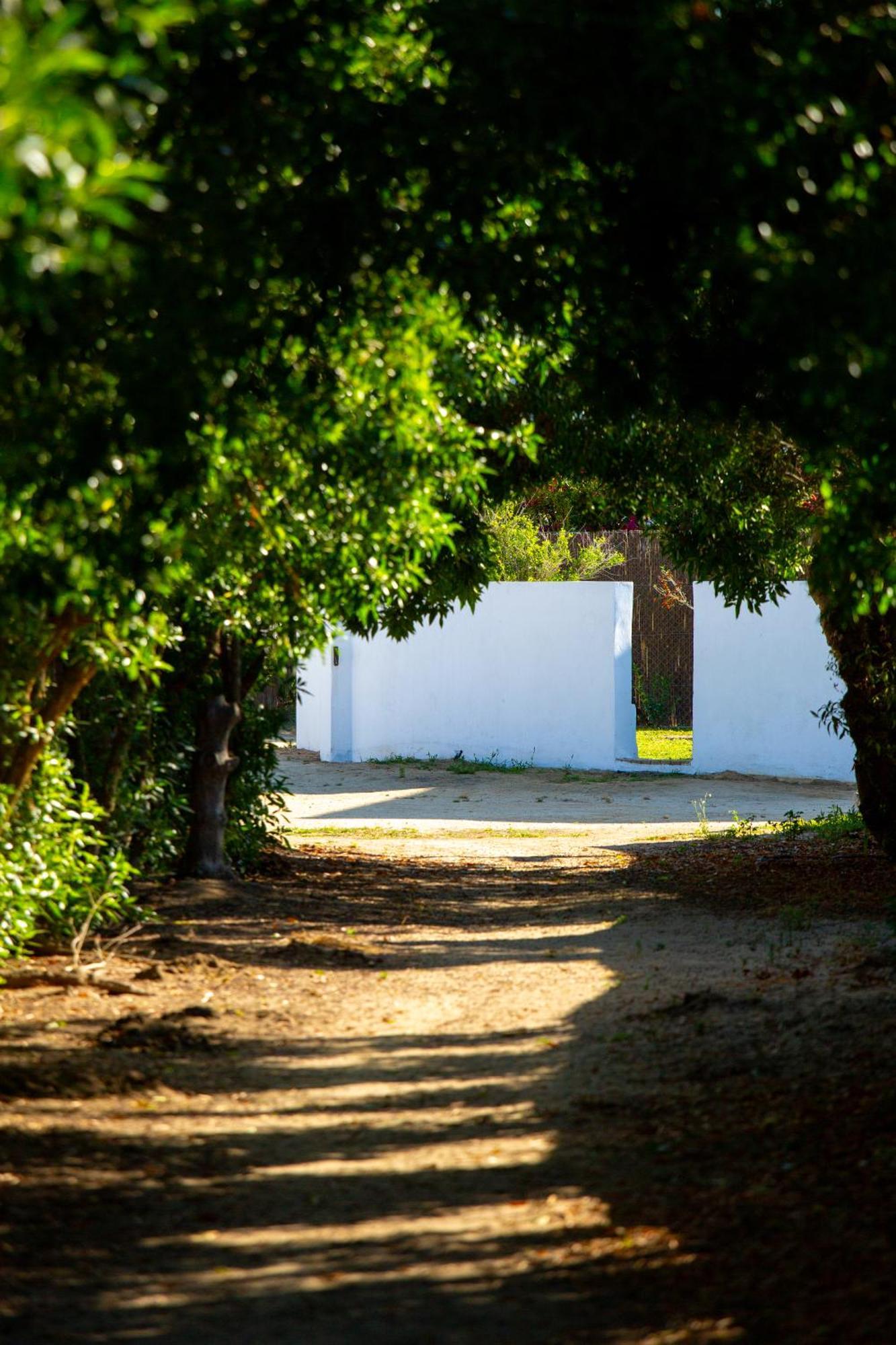 Casara Seis O Casara Siete - Tu Casa A 100M De La Playa De Zahora Casa de hóspedes Exterior foto