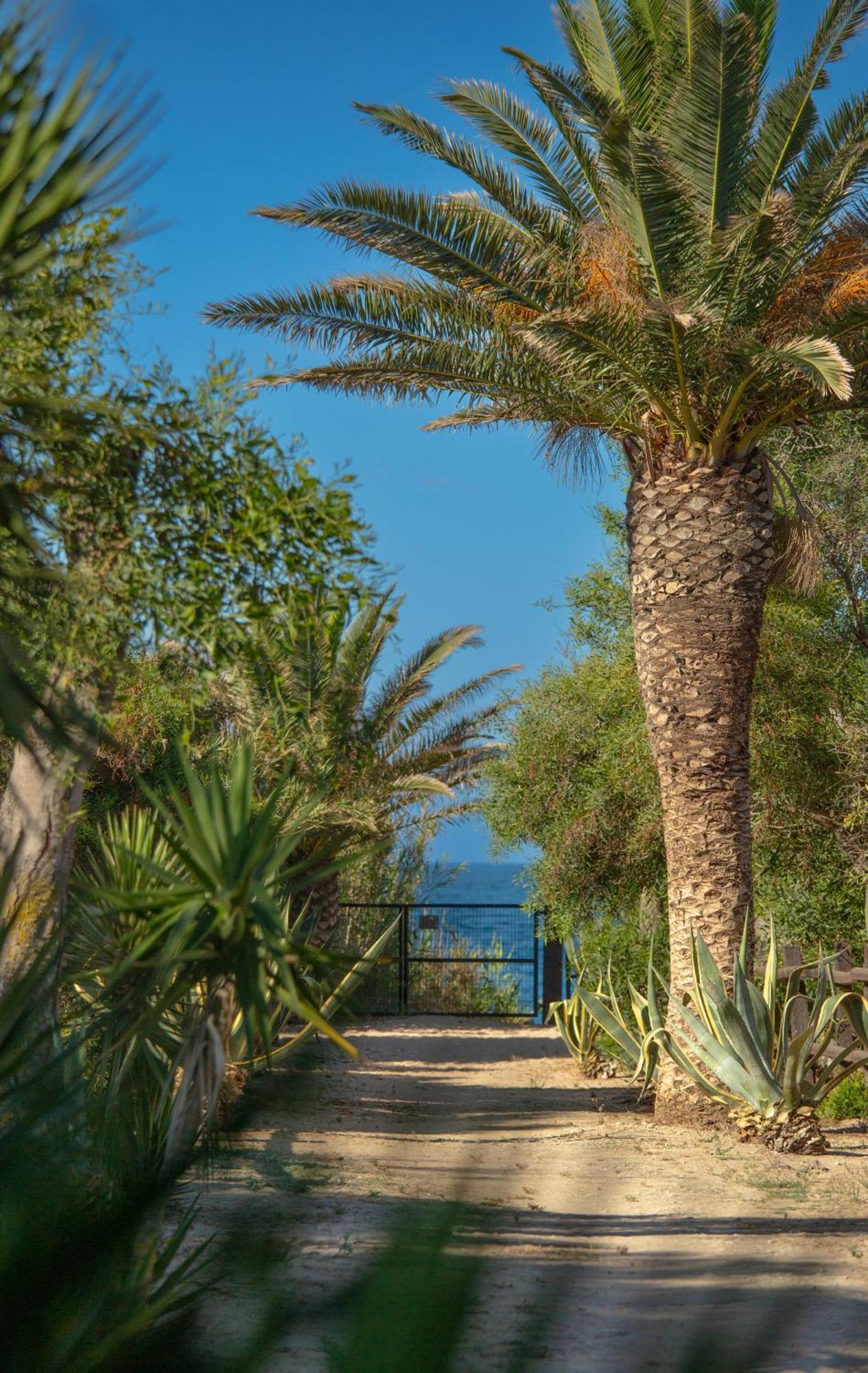 Casara Seis O Casara Siete - Tu Casa A 100M De La Playa De Zahora Casa de hóspedes Exterior foto