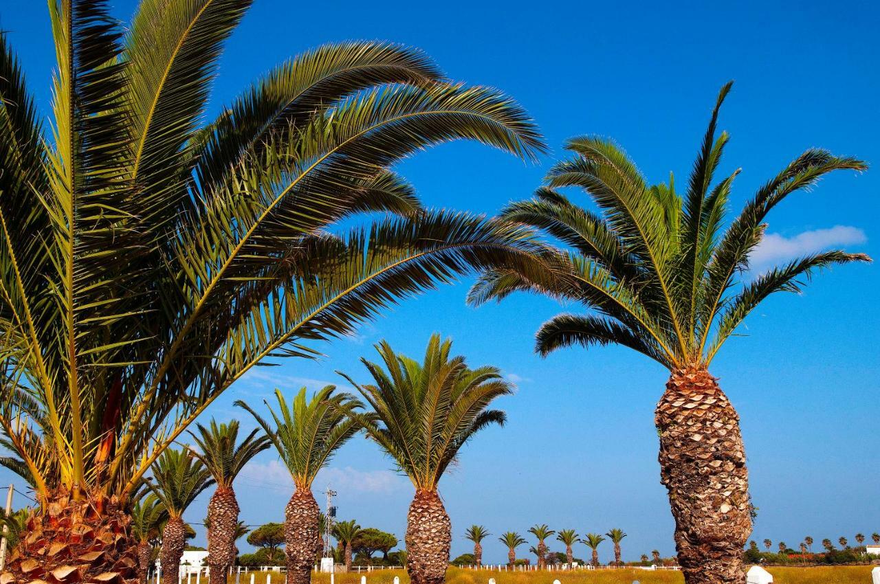 Casara Seis O Casara Siete - Tu Casa A 100M De La Playa De Zahora Casa de hóspedes Exterior foto