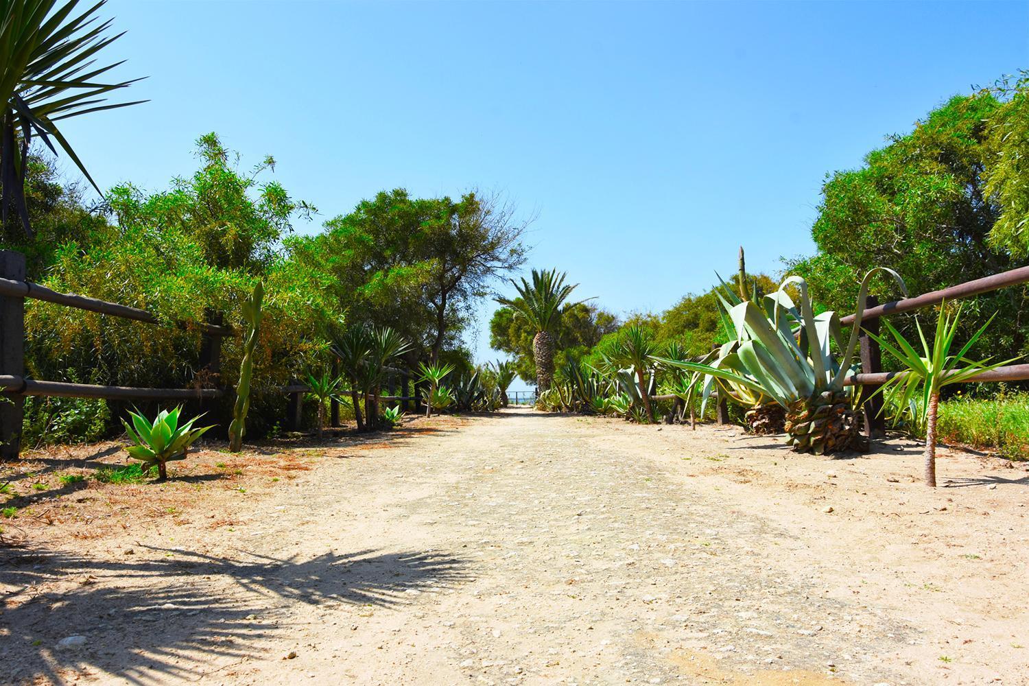 Casara Seis O Casara Siete - Tu Casa A 100M De La Playa De Zahora Casa de hóspedes Exterior foto