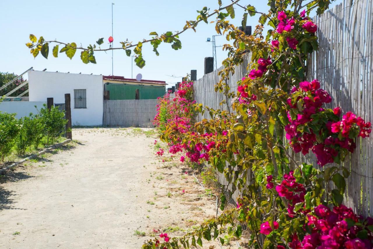 Casara Seis O Casara Siete - Tu Casa A 100M De La Playa De Zahora Casa de hóspedes Exterior foto